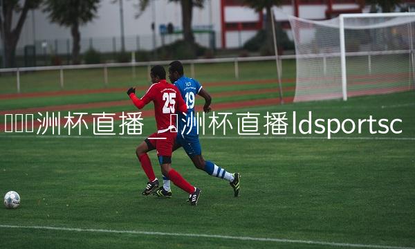 闪讯欧洲杯直播_欧洲杯直播ldsportsc