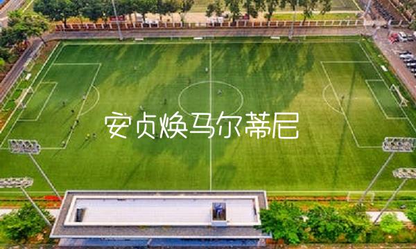 安贞焕马尔蒂尼