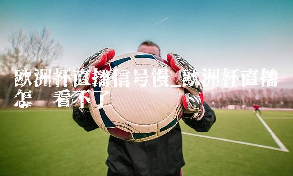 欧洲杯直播信号慢_欧洲杯直播怎么看不了