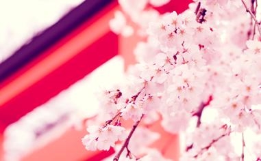 福特汉姆大学比赛 2022年01月11日 08:00 NCAA直播录像 对决达顿大学视频
