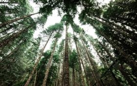 詹姆斯经典赛回顾：22-23赛季常规赛 湖人 - 尼克斯比赛  NBA直播录像 对决詹姆斯经典赛回顾：22-23赛季常规赛 湖人 - 尼克斯jrs-篮球