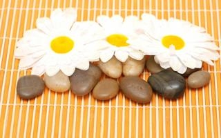 佩莱扎 VS 蒙得维的亚城图尔克比赛 乌拉圭甲直播录像 对决佩莱扎 VS 蒙得维的亚城图尔克jrs-足球