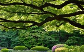 西安荣海 VS 广州城比赛 中国足协杯直播录像 对决西安荣海 VS 广州城jrs-足球