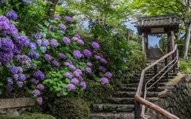 2023澳网第10日-玛格丽特球场比赛  澳网直播录像 对决2023澳网第10日-玛格丽特球场jrs-网球