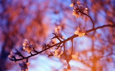 圣地亚戈州立大学比赛 2022年02月12日 05:00 NCAA直播录像 对决内华达大学拉斯维加斯分校视频