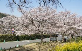 城南fc比赛 2022年08月28日 18:00 韩K联直播录像 对决水原fcjrs