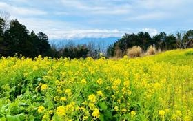 威尼斯雷耶 VS 加拉塔萨雷比赛 欧洲女篮杯直播录像 对决威尼斯雷耶 VS 加拉塔萨雷jrs-篮球