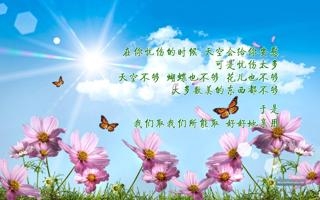 东北大都会明星 VS 贝尔格莱德白城比赛  澳南超直播录像 对决东北大都会明星 VS 贝尔格莱德白城jrs-足球