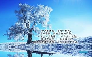 班祖尔联 VS GAF比赛 冈比亚超直播录像 对决班祖尔联 VS GAFjrs-足球