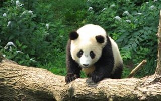 梅塔利斯特1925比赛 2022年03月05日 20:00 乌克超直播录像 对决顿涅茨克矿工jrs