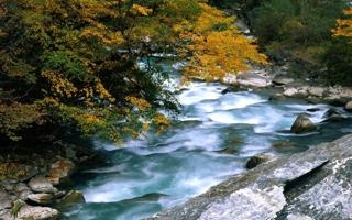 西阿德莱德SCvs普雷福特比赛 2022年08月05日 12:30 其他直播录像 对决西阿德莱德SCvs普雷福特jrs