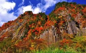 卡拉蒙达东方太阳比赛 2022年07月31日 13:00 澳西部联直播录像 对决金矿巨人视频