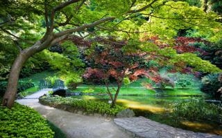 20分算?广东上半场取得20分优势被追平 随后一波28-6杀死比赛